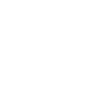 Emission Control Product T-SCR Leading Solution NEM Energy